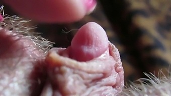 Extreme Close Up On My Huge Clit Head Pulsating