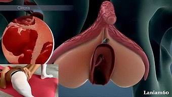 Biology And Female Orgasm: A Closer Look