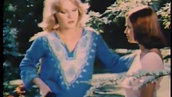 Felicia'S Erotic Adventures In A 1975 Adult Film