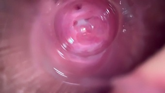High-Definition Video Of A Tight Pussy Being Pleasured With Fingers And Toys